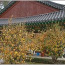 회룡사 - 1121 | 회룡사