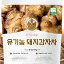 바른커피연구소 이미지