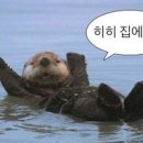 소확행 - 태안군 몽산포길 183 | 소확행