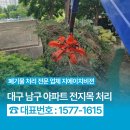 원전길 네이버블로그
