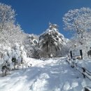 1월16일(토요당일)소백산/국망봉 눈꽃산행 이미지