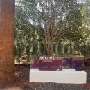 농업기술센터 본관 화장실 이미지