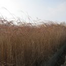 하단2동-12 이미지