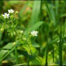 풍도복지회관 이미지