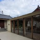 올리브 바닐라 이미지