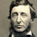 소로3-100 이미지