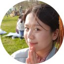 롯데하이마트태백점 | 우리는 일 년에 몇 그루의 나무를 심을 수 있을까?