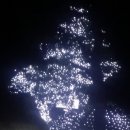 금나한우(오리)한마당 이미지