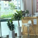 함흥면옥 | [블챌_일상 포토덤프] 영주 월정면옥 아기와 함께 방문 후기