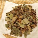 자연의모든것 이미지