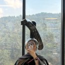 철이헤어샵 | 부산 해운대 미용실 : 해운대 헤어샵 ‘에이와이식스’매직, 커트 레이어드 잘하는 곳