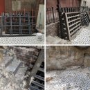 제이애견샵 이미지