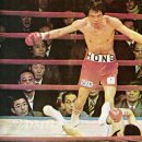 매드복싱 이미지