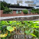 옥천랜드공인중개사사무소 이미지