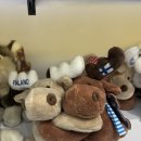 제드짐 | 런던 2박3일 1일차 | 제드웰 피카딜리 서커스 숙소 후기 &amp; 가이드도 모르는 양조장거리