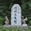 석지자원 네이버블로그