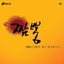 금짬뽕 - 달성군 서재로 137 | 금짬뽕