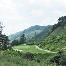 베뉴지 cc Daum카페