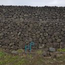 온평환해장성 이미지