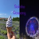 원암농장 | 강원도 속초 고성 2박 3일 여행코스 맛집 카페 모음 설악산 울산바위 코스 등산