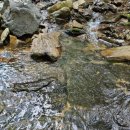 화양빌리지펜션2 이미지