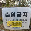 엘크사슴 이미지