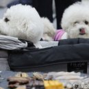 스카이개슬 네이버블로그