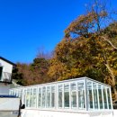 MSJ HOUSE 네이버블로그