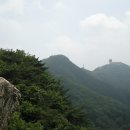 초심 - 유성구 신성로 95 | 초심