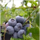 흙과사람들 이미지