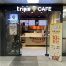 트리핀 이미지