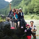 뉴그린 Daum카페