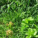 현기농장 이미지