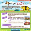 농가참신한우