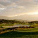 메이플비치호텔 이미지