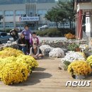 예산대흥슬로시티협의회 이미지