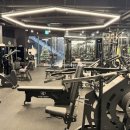 마이티핏 이미지