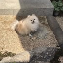 아날로그한옥