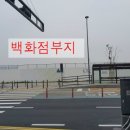 농협 앞 횡단보도 이미지