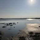 신도리어촌계식당 이미지