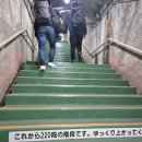 우신카써비스 | 4월의 눈오는 일본 알펜루트 역방향 후기(옷차림,준비물)