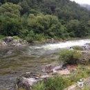 덕풍계곡솔밭야영장 이미지