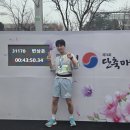 C.M. 복싱 | 3.1절 기념 제74회 단축마라톤 후기(결과, 주차 팁)