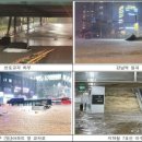 강남서초