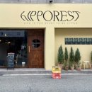 히포레스트(Hipporest) 이미지