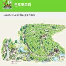 건축사사무소아뜰리에마루 | 일본 나고야 6박7일 초등딸 둘과 다녀온 지브리파크 티켓예약, 동선, 굿즈샵 후기
