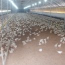 박현수농장 이미지