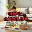 소꿉놀이 | 애플박스 소꿉놀이 공구 솔직후기
