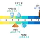 유행 대리점