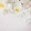 머리만들기 이미지